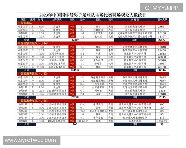 中国足球现役明星球员盘点及其在国内外赛场的表现分析